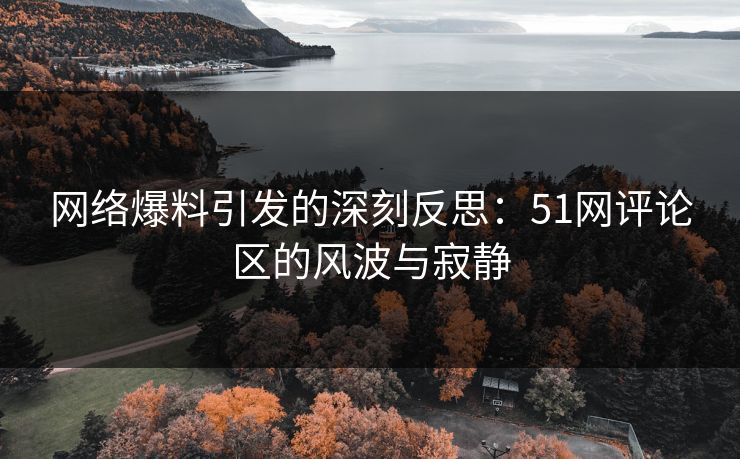 网络爆料引发的深刻反思：51网评论区的风波与寂静
