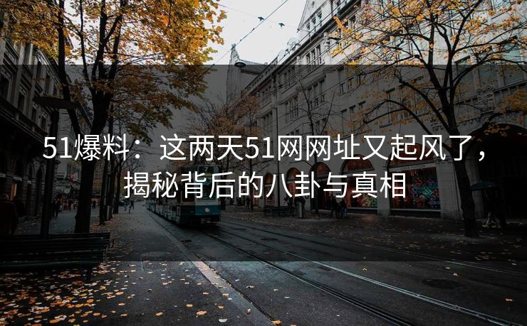 51爆料：这两天51网网址又起风了，揭秘背后的八卦与真相